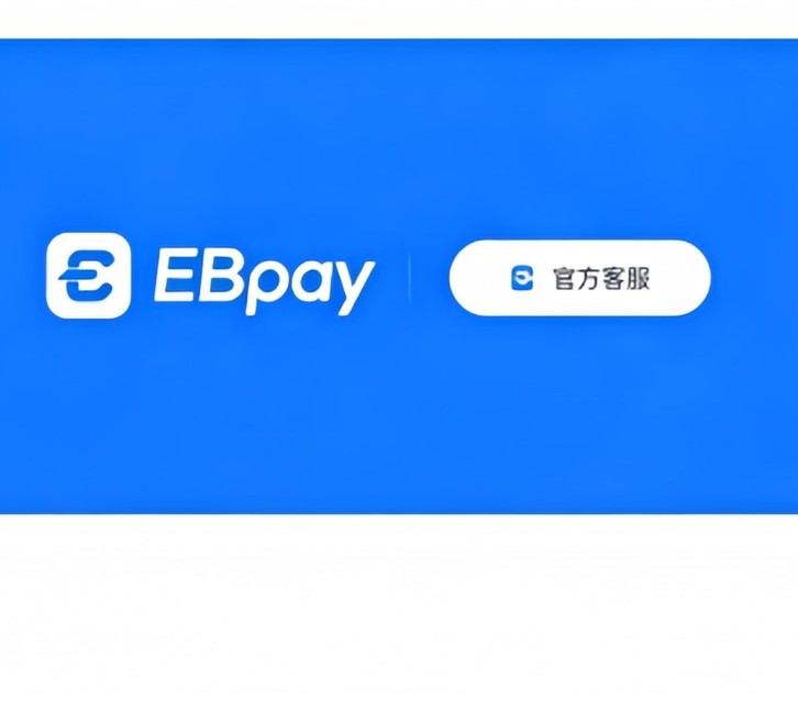 ebpay官网界面说明图