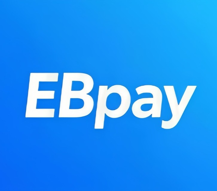 ebpay官网界面说明图
